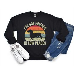 dachshund sweatshirt, funny gift for dachshund lover, doxie mom shirt, wiener dog crewneck, i've got friends in low plac