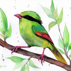 Birds painting, watercolor paintings, aquarelle bird watercolor birds art painting by Anne Gorywine