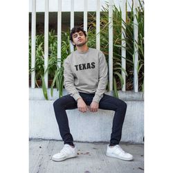 texas sweatshirt, texas hoodie, dallas jumper, houston university unisex sweater gift, austin outfit, san antonio, north