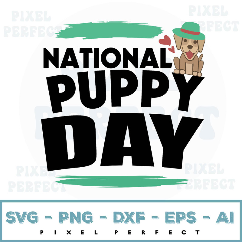 PIXEL PERFECT-01.jpg