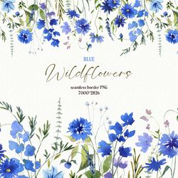 Watercolor blue wildflowers seamless border, Botanical  floral clipart Digital download PNG