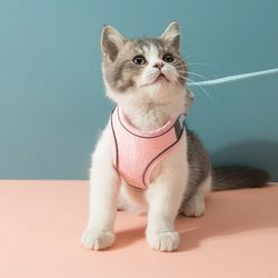 Glow-in-the-Dark Luminous Adjustable Cat Vest Harness & Leash Set: Keep Your Furry Friend Around