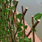 outdoorartificialgreenleafprivacyfenceretractable2.jpg
