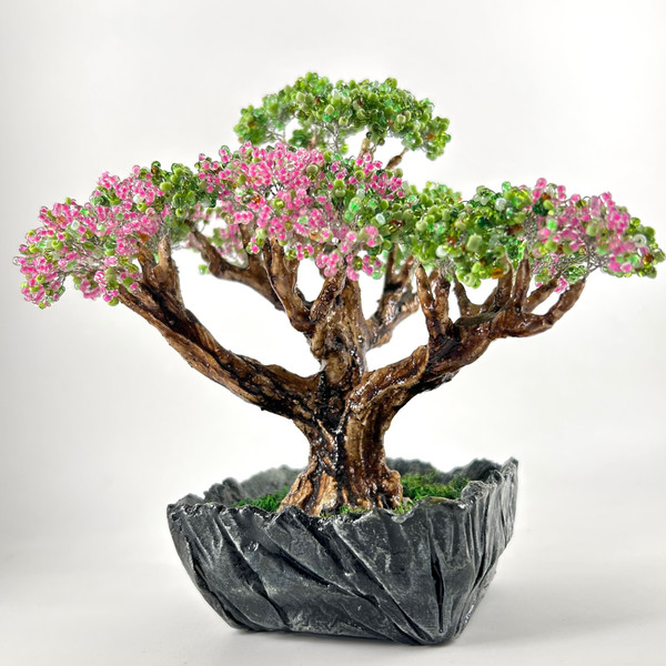 Blossom-bonsai.jpeg
