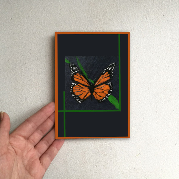 butterfly 2.jpg