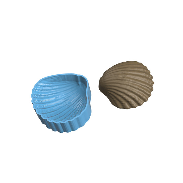 Sea shell STL file for vacuum forming and 3D printing_1.png