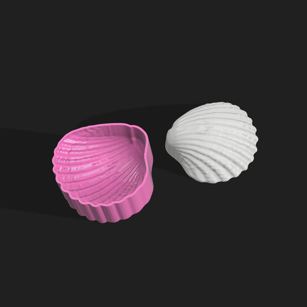 Sea shell STL file for vacuum forming and 3D printing_2.png
