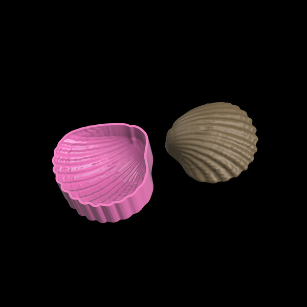 Sea shell STL file for vacuum forming and 3D printing_3.png