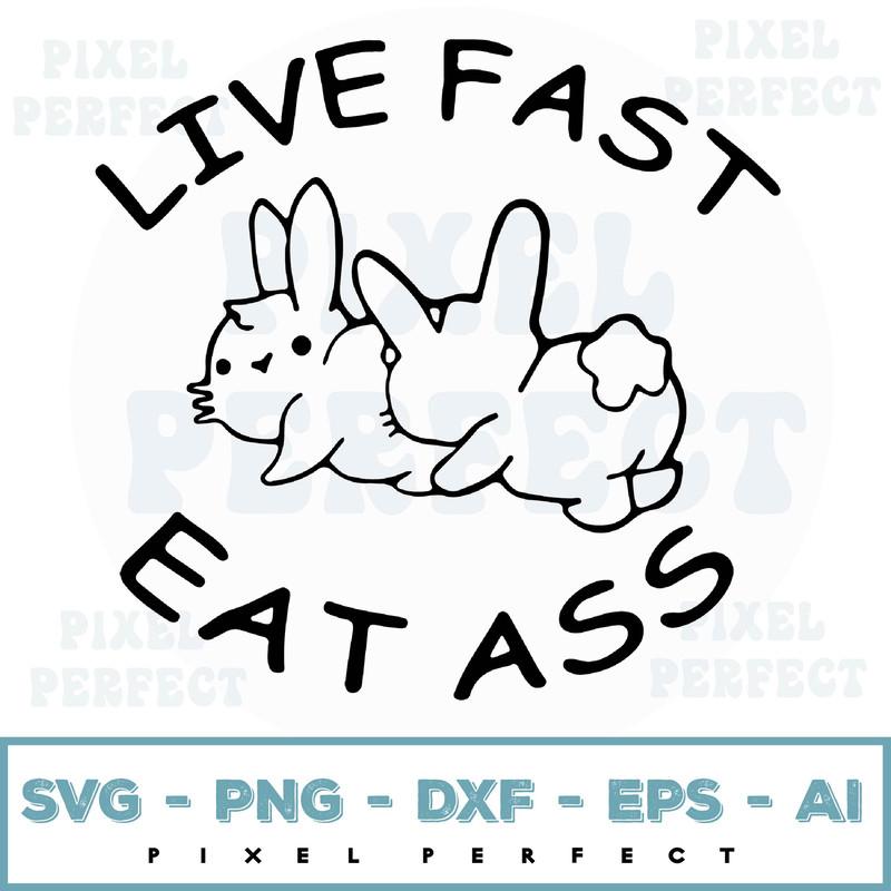 PIXEL PERFECT-01.jpg