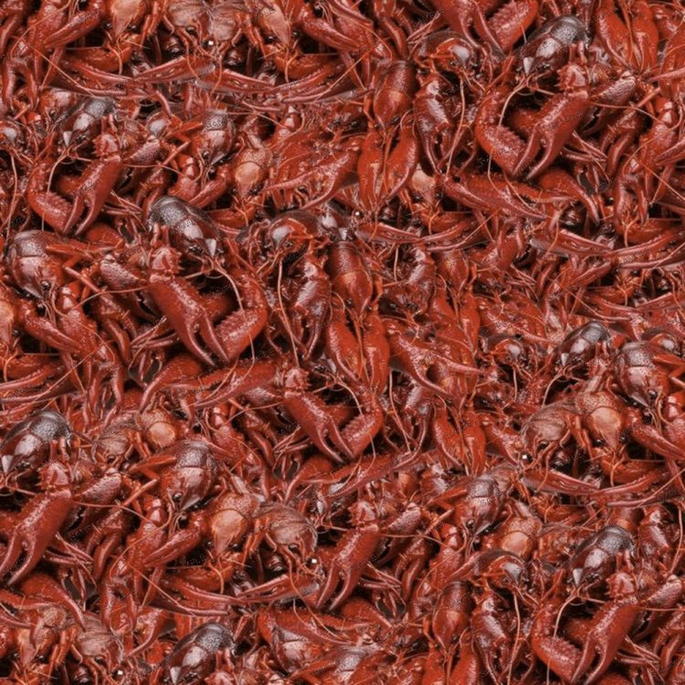 Boiled Crawfish 22.jpg