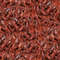 Boiled Crawfish 22.jpg