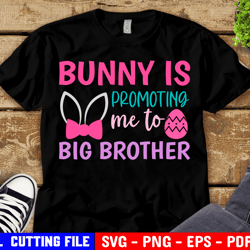 bunny is promoting me to big brother svg, pregnancy svg, kids easter shirt svg, cousins svg, funny siblings svg files
