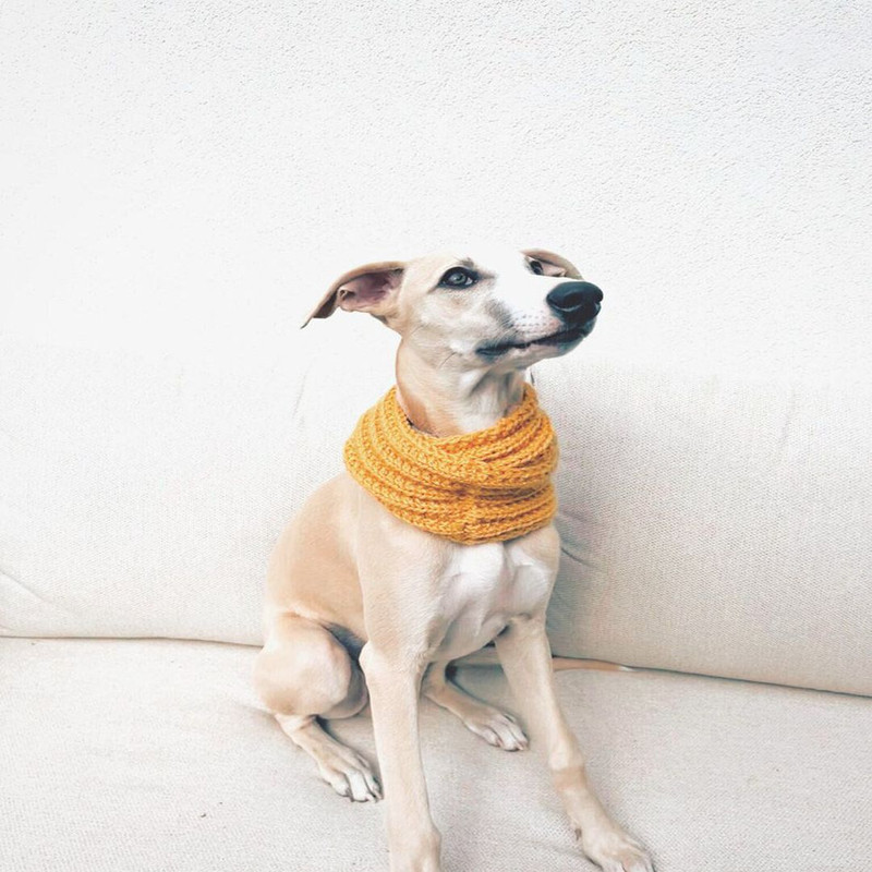 1080x1080_ il_794xN.4185313735_lkz4.jpg