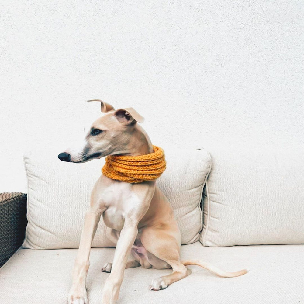 1080x1080_ il_794xN.4185313761_r7dm.jpg