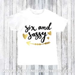 kids birthday shirt - 6th birthday present - cute birthday gift idea - six year old birthday - 6th birthday - birthday g