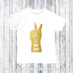 second birthday shirt - second birthday party - second birthday outfit - second birthday boy - birthday boy is 2 - secon