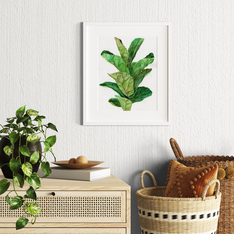 фикус акварель1.jpg