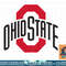 Kids Ohio State Buckeyes Icon Gray Kids png, sublimation.jpg