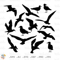 sea gull svg,  sea gull silhouette, sea gull bird cricut files, stencil templates dxf, clipart png, cutting files
