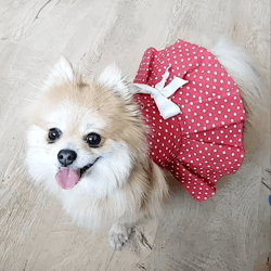 Dog harness dress for a small dog. Polka dot dog dress. Dog clothing. Pet clothes. Cat clothes. Dog dresses.