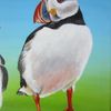 birds-puffin-two birds-picture in acrylic, square picture-picture on canvas-green picture-5.JPG