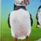 birds-puffin-two birds-picture in acrylic, square picture-picture on canvas-green picture-6.JPG
