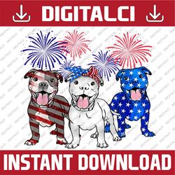 american pitbull dog firework 4th of july usa flag patriotic 4th of july, memorial day, american flag, independence day
