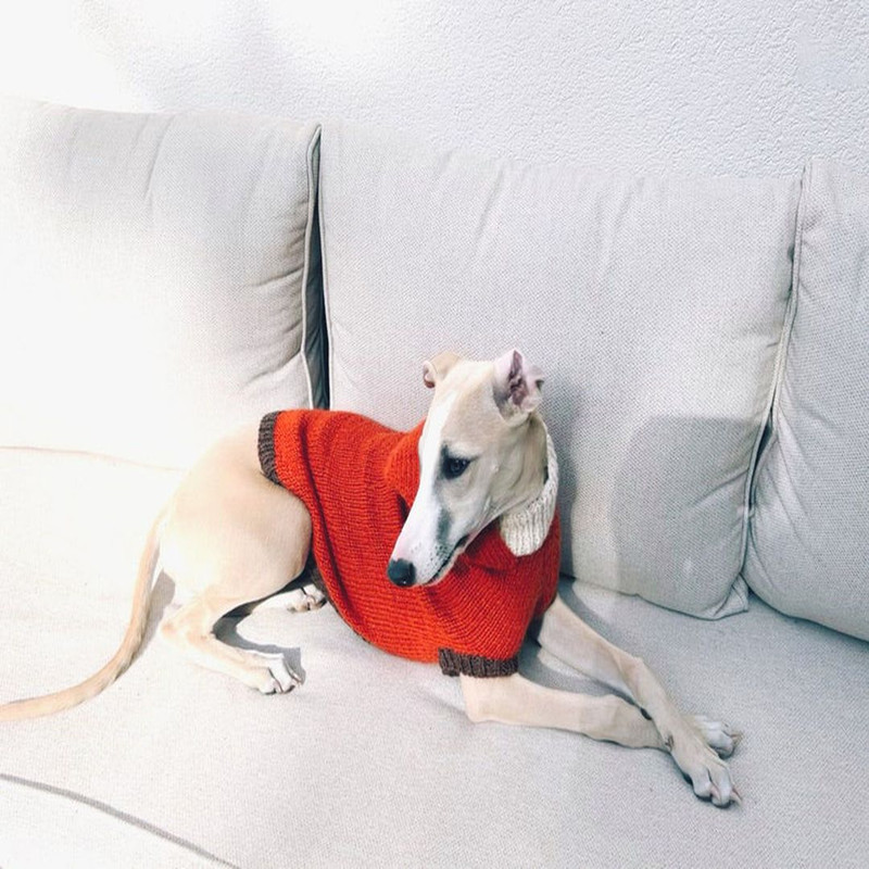 1080x1080_ il_794xN.4211649233_oq8c.jpg