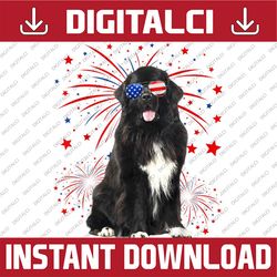 awesome newfoundland dog american flag 4th of july memorial day, american flag, independence day png file sublimation