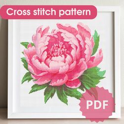 Cross stitch pattern Peony / cross stitch chart flower / PDF cross stitch pattern / DIY gift for Mom /