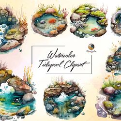 watercolor tidepool clipart
