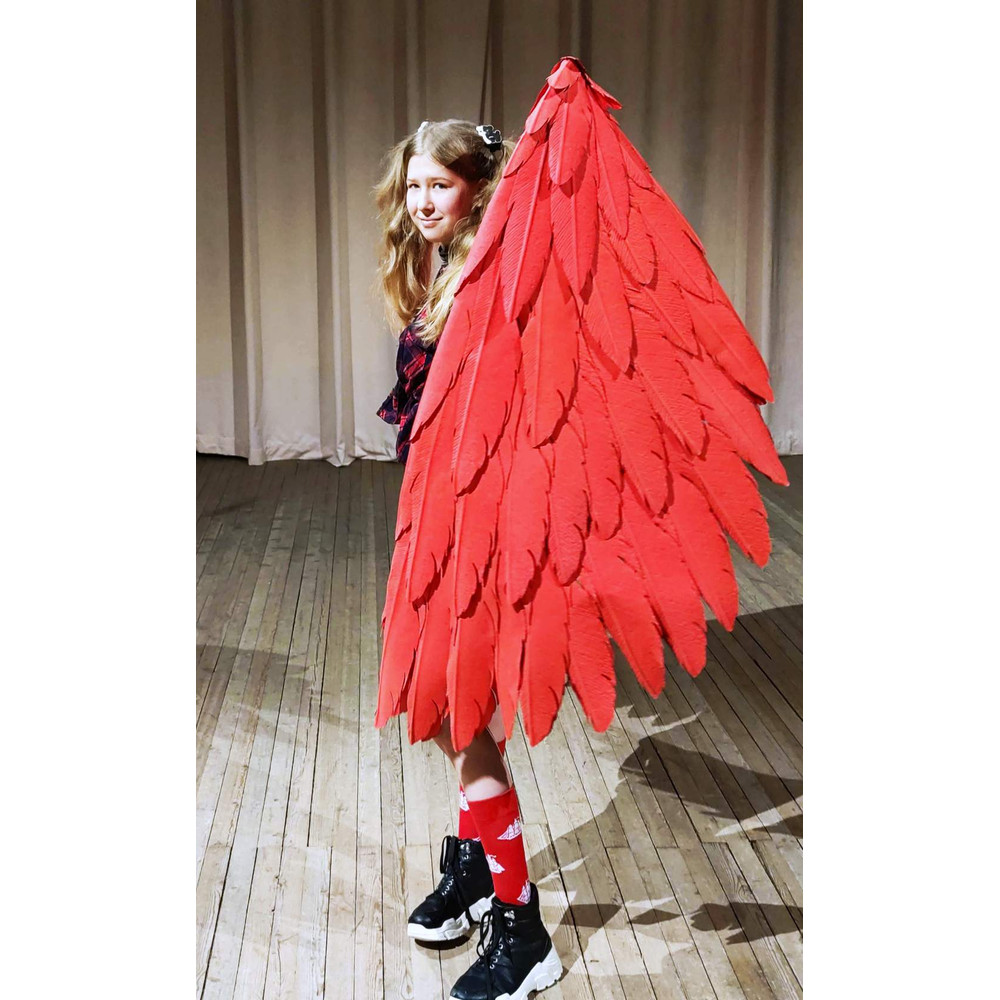 adult wings costume, Hawks costume, red angel wings, devil wings, final fantasy, articulating wings, anime cosplay wings, moving anime wings, movable wings, my