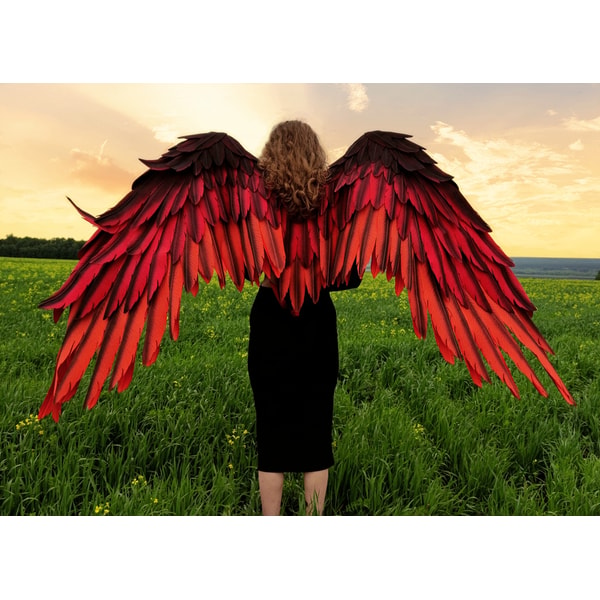 Firebird Angels Large movable Phoenix Firebird Cosplay Costume wings/wings o | Inspire ...