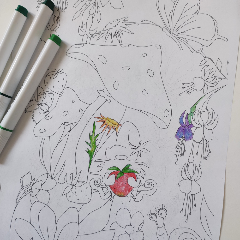 Coloring book gnomes