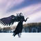 Maleficent cosplay black angel wings devil wings cosplay larp cloth the witcher costume demon s