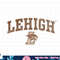 Lehigh Mountain Hawks Distressed Arch Over Logo png, sublimation.jpg