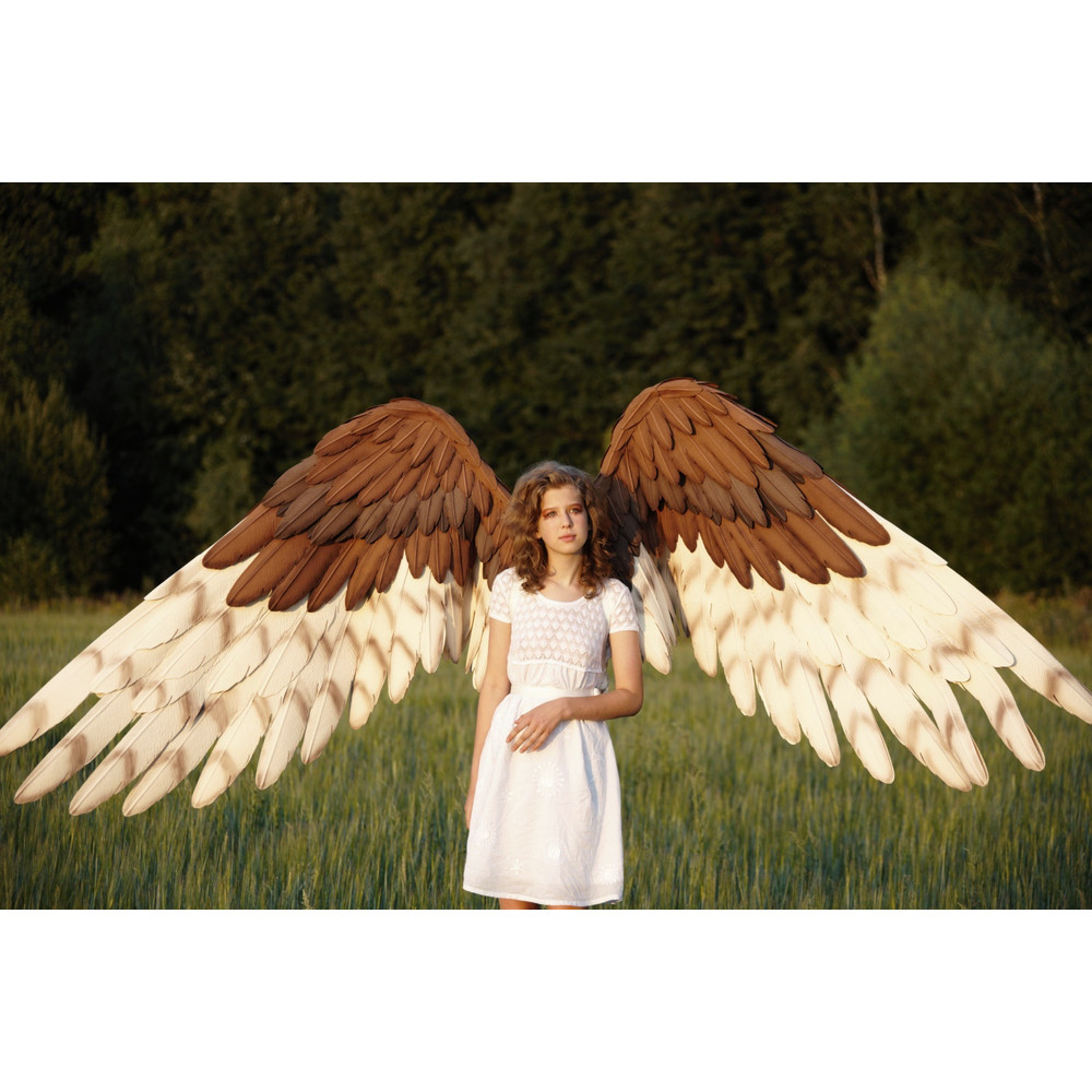 barn owl wings, eagle cosplay wings, owl cosplay costume, falcon costume, wearable bird wings, bendable adult wings, bird's accessories, owl costume adult, harp