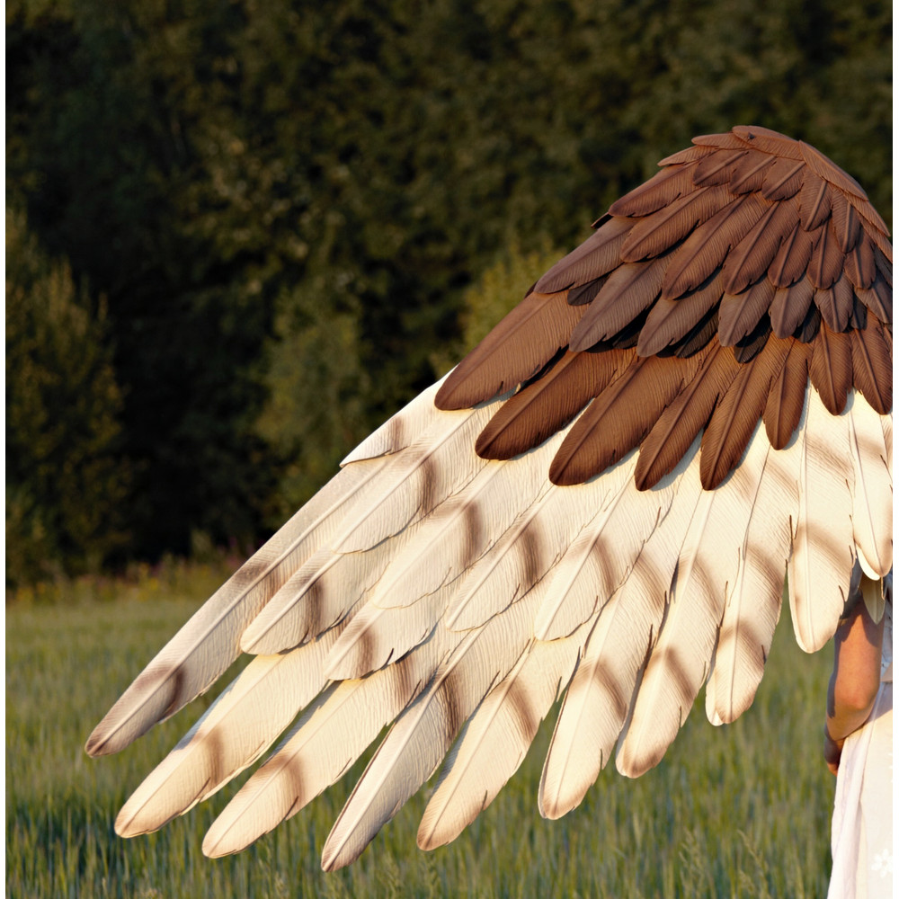 Ibarn owl wings, eagle cosplay wings, owl cosplay costume, falcon costume, wearable bird wings, bendable adult wings, bird's accessories, owl costume adult, har