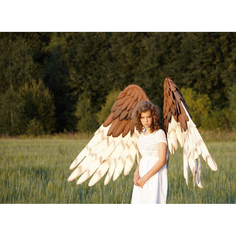 barn owl wings, eagle cosplay wings, owl cosplay costume, falcon costume, wearable bird wings, bendable adult wings, bird's accessories, owl costume adult, harp