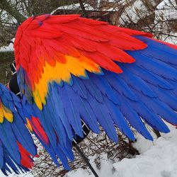 xl movable scarlet macaw wings for cosplay costume and photoshoots/photo props/parrot wings