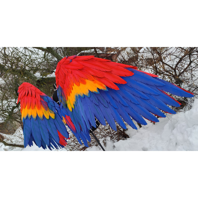 anime cosplay wings scarlet macaw wings bluebird wings parrot wings movable wings articulated w
