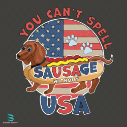 you can't spell sausage without usa svg, 4th of july svg, american flag svg