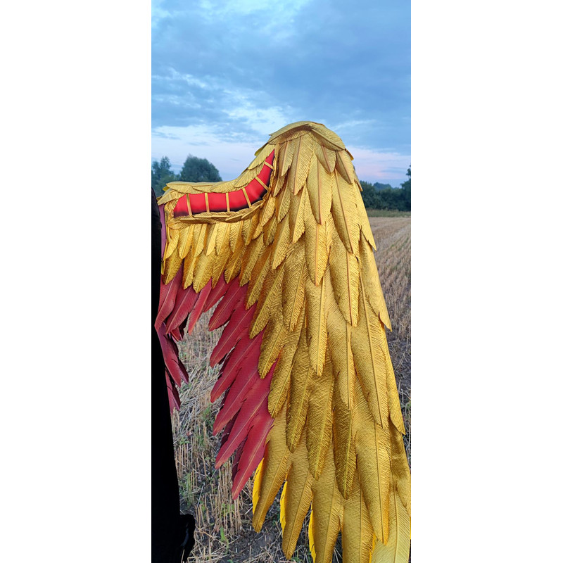 Hawkman wings costume, golden angel wings, wearable gold wings, gold cosplay wings, red and gold wings, articulating wings, black crow wings, large golden wings