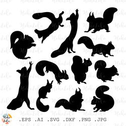 squirrel svg, squirrel silhouette, squirrel cricut files, stencil templates dxf, clipart png, animals svg