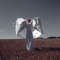 adult wings costume white angel wings Ikaros angel wings articulating wings anime cosplay wings