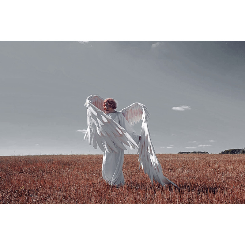 adult wings costume white angel wings Ikaros angel wings articulating wings anime cosplay wings