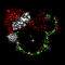 DN210529HL57.jpg