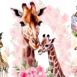 mommy baby giraffe daddy images