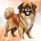 Cute-Dog-Sublimation-Clipart-Bundle-Graphics-69721446-2-580x387.jpg