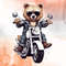 Daddy-Bear-Riding-Motorbike-Clipart-Graphics-69321510-4-580x387.jpg